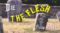 The Flesh