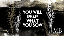 You will reap what you sow